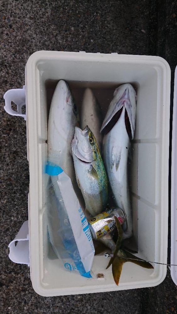 2022播磨遠征第4回