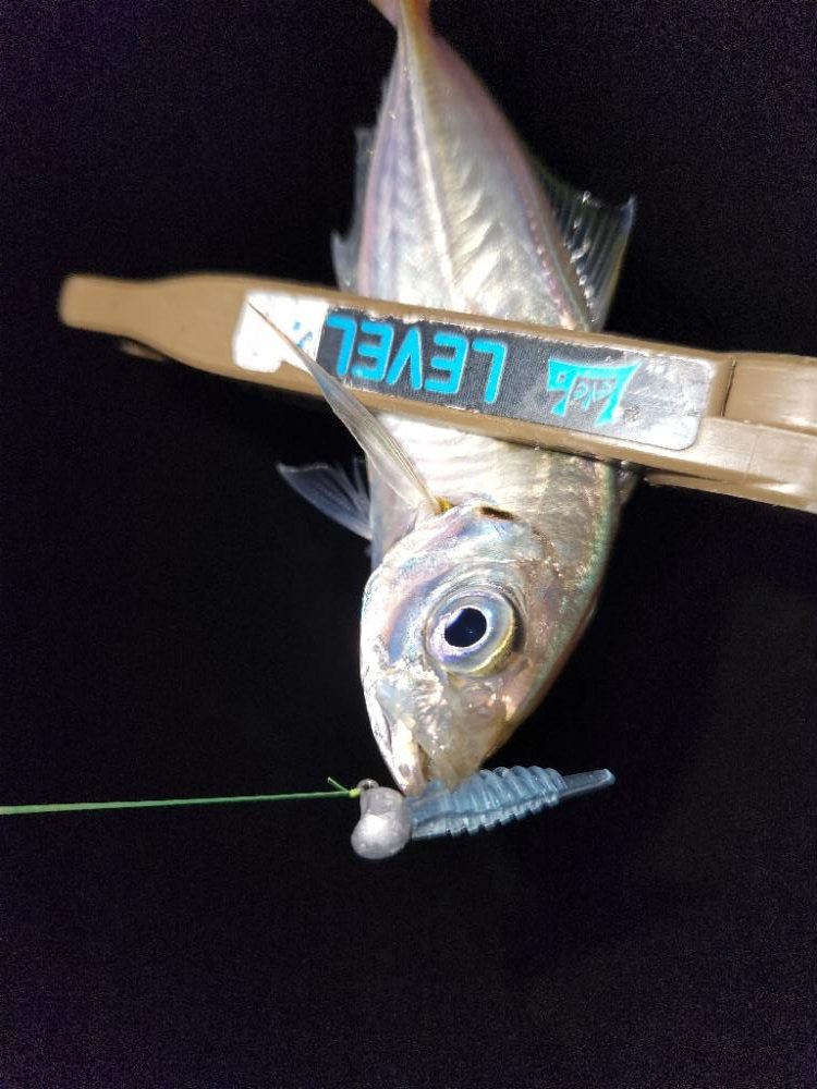 雨の前に・・・