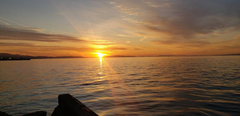 アジ探し@りんくう