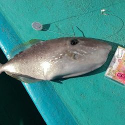 五目狙いの遊動テンヤゲーム