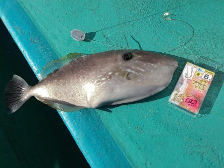 五目狙いの遊動テンヤゲーム