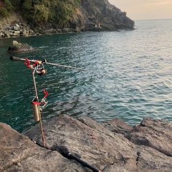 秋イカ最終にするか迷う