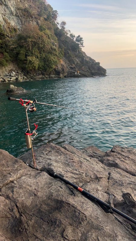 秋イカ最終にするか迷う