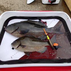 ラスト一投のドラマ