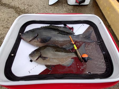 ラスト一投のドラマ