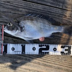 初の厳しい筏釣り