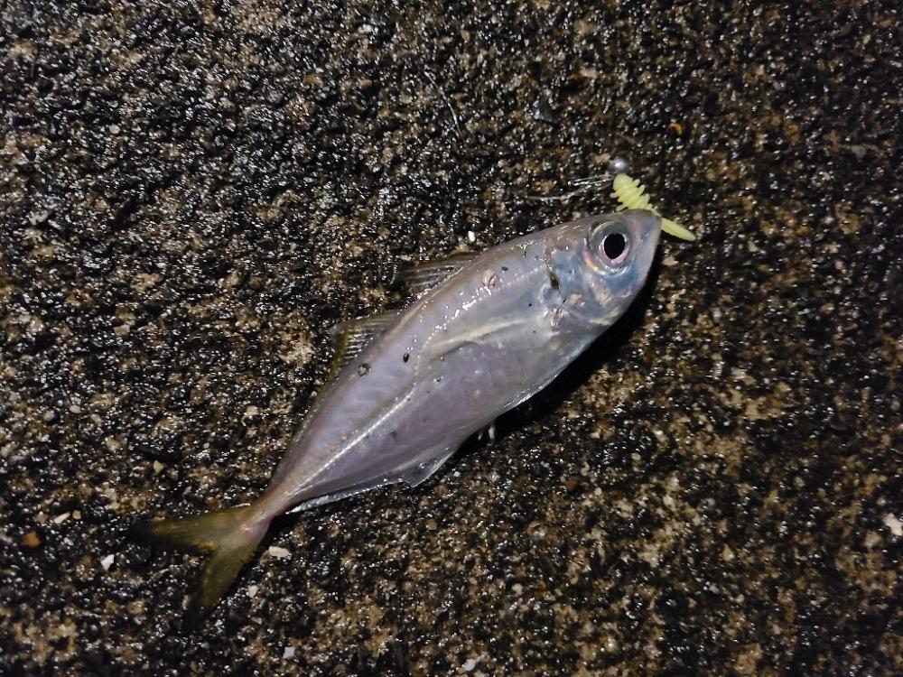 厳しい