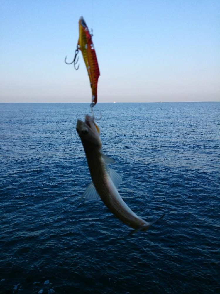 シーズン終盤戦