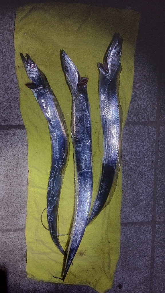 まだまだイケそう