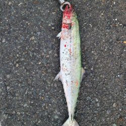 いつもやつが…