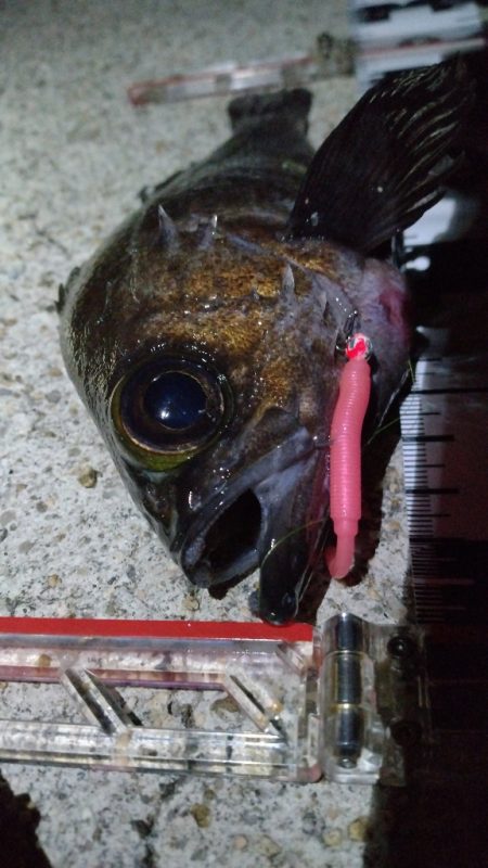 フロートメバリング