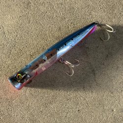 ギリギリ獲れた