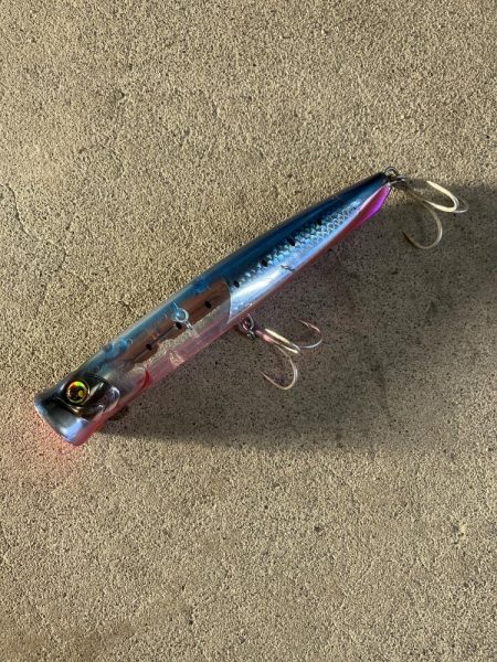 ギリギリ獲れた