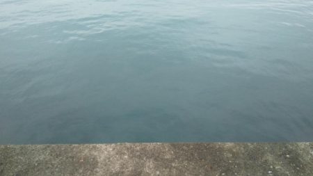 初のオオモンハタ