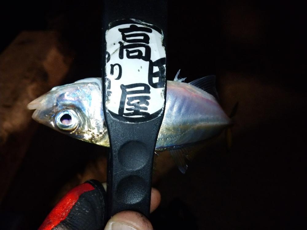 今夜も厳しかった