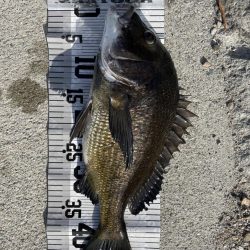 イチノ兄弟（兄）釣果！