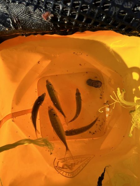 オールノーヒット