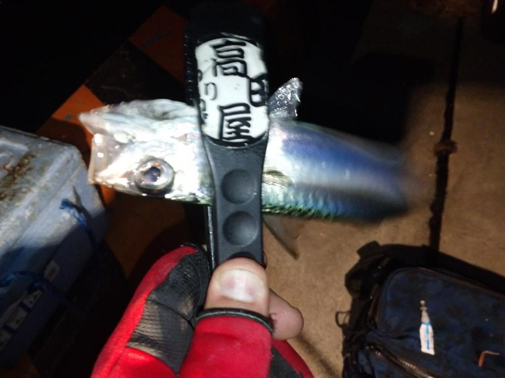 今夜はサバ多め