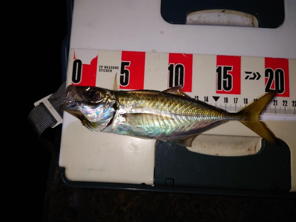 ションボリアジング