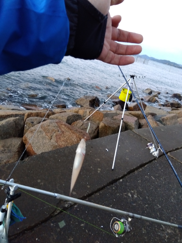 苅屋海岸の投げ釣り