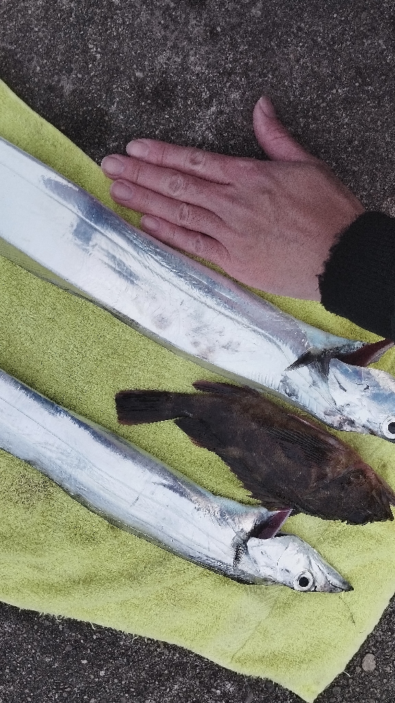 一歩間違えばボウズ