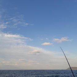 イカの気持ち８