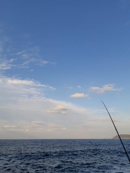 イカの気持ち８