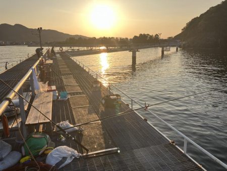 フィッシングパーク光