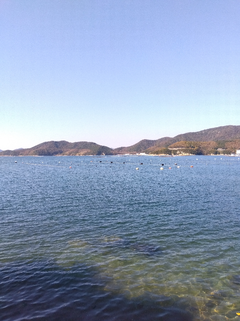 室津のキス釣り