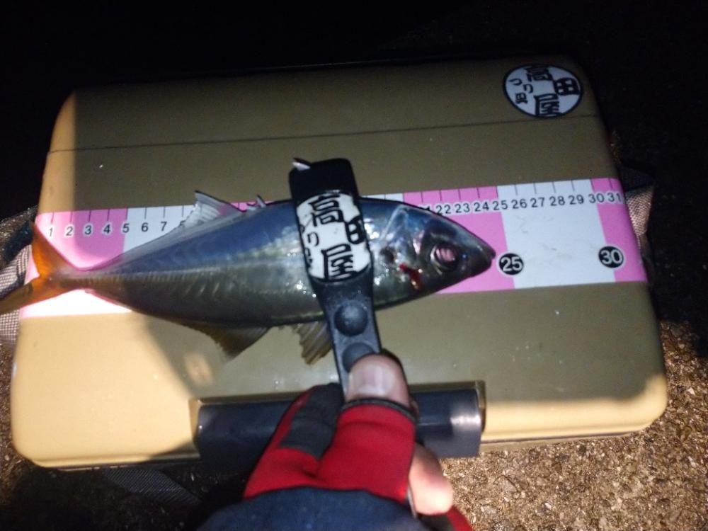 イージーシェイカー3.5