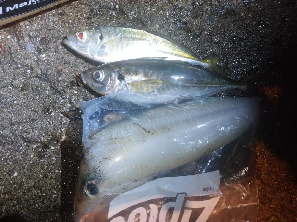 今夜もイージーシェイカー