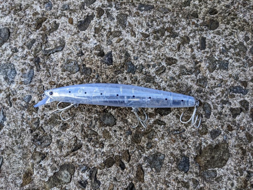 ルアーの動きを確認するだけだったのに。。。