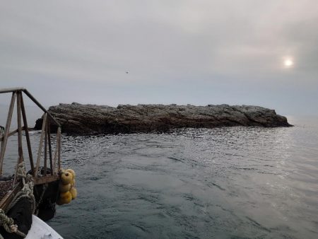 クロ釣り(畝刈)