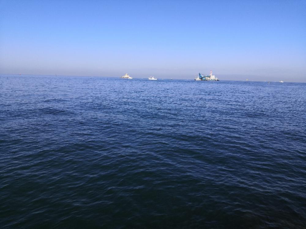 カワハギ釣りにハマる