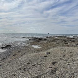 エギング初釣果❗️