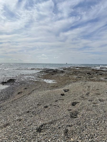 エギング初釣果❗️