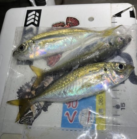 流れが強いアジング