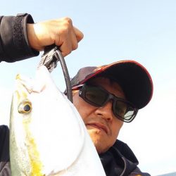 メタボメジロ！