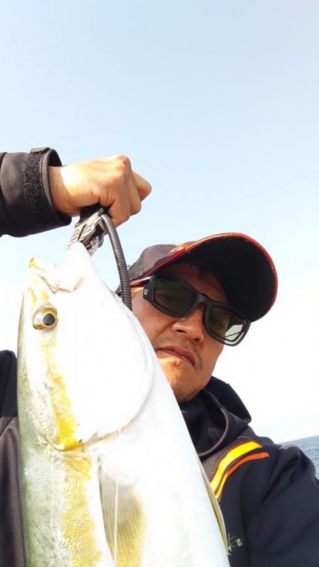 メタボメジロ！