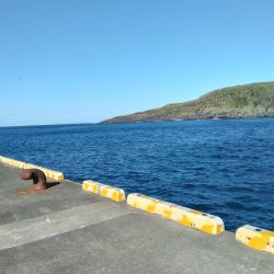 三宅島「湯の浜港」入釣、海は「食欲の秋」真盛り