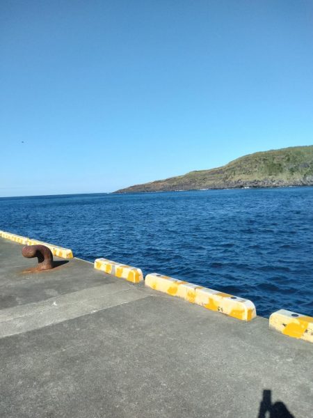 三宅島「湯の浜港」入釣、海は「食欲の秋」真盛り