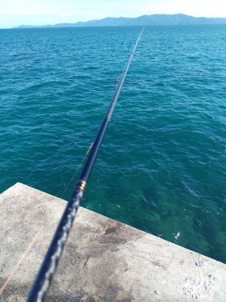 天候はよかったのですが・・・