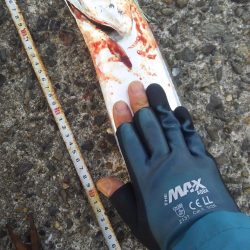 秋の青物狙いpart 6