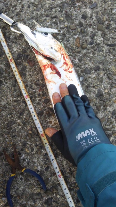 秋の青物狙いpart 6