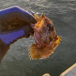 エソゲーム！(裏で9目達成！)