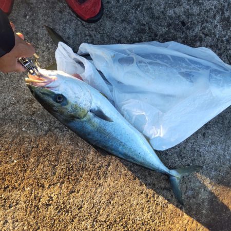 今日も浮き飲ませで(爆)釣果