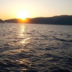 今季最終エギング