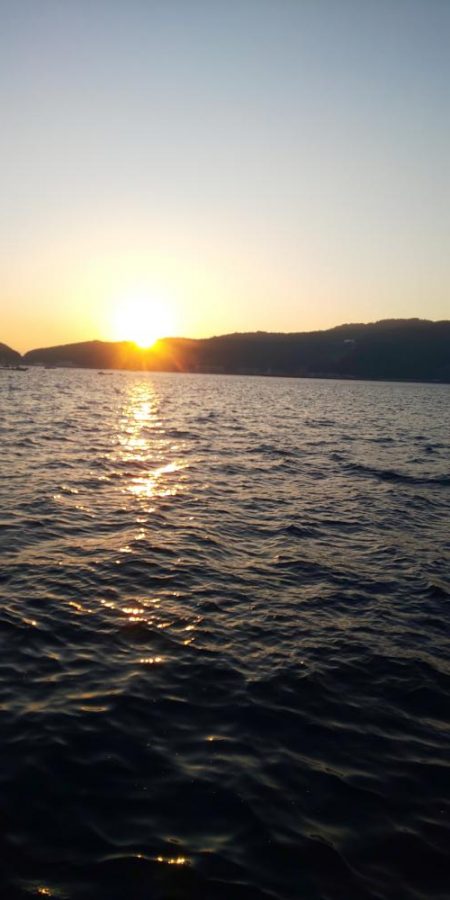 今季最終エギング