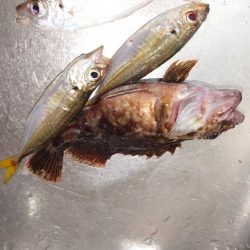 ライトワインド