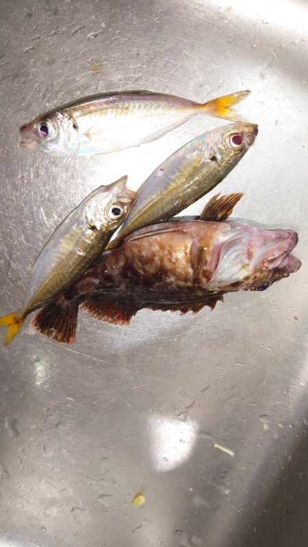 ライトワインド